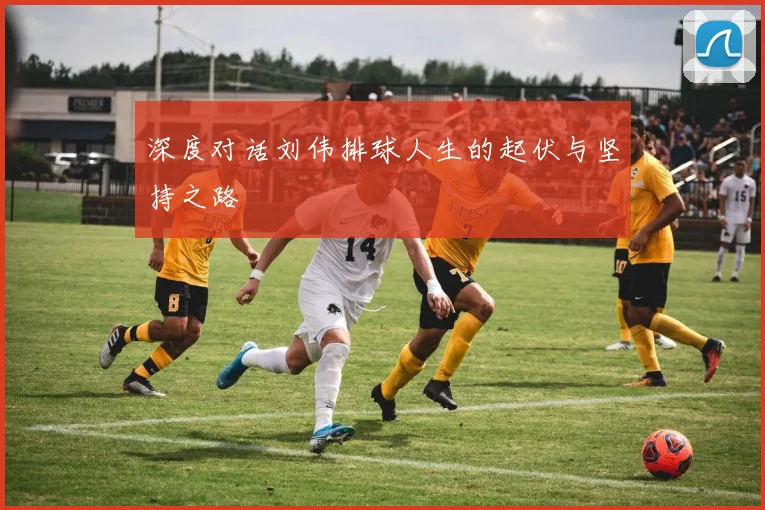 深度对话刘伟排球人生的起伏与坚持之路