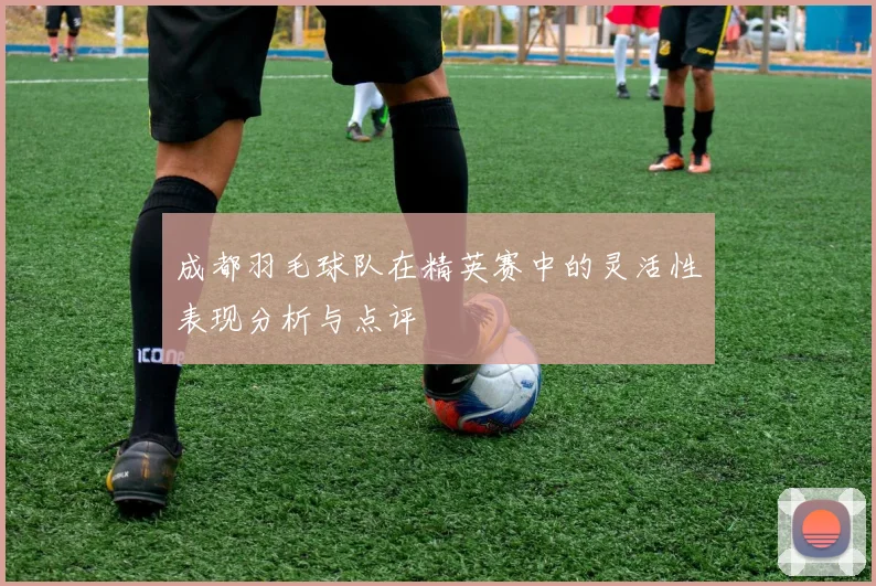 成都羽毛球队在精英赛中的灵活性表现分析与点评