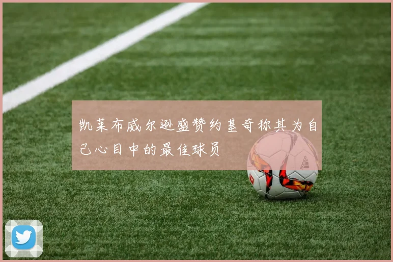 凯莱布威尔逊盛赞约基奇称其为自己心目中的最佳球员